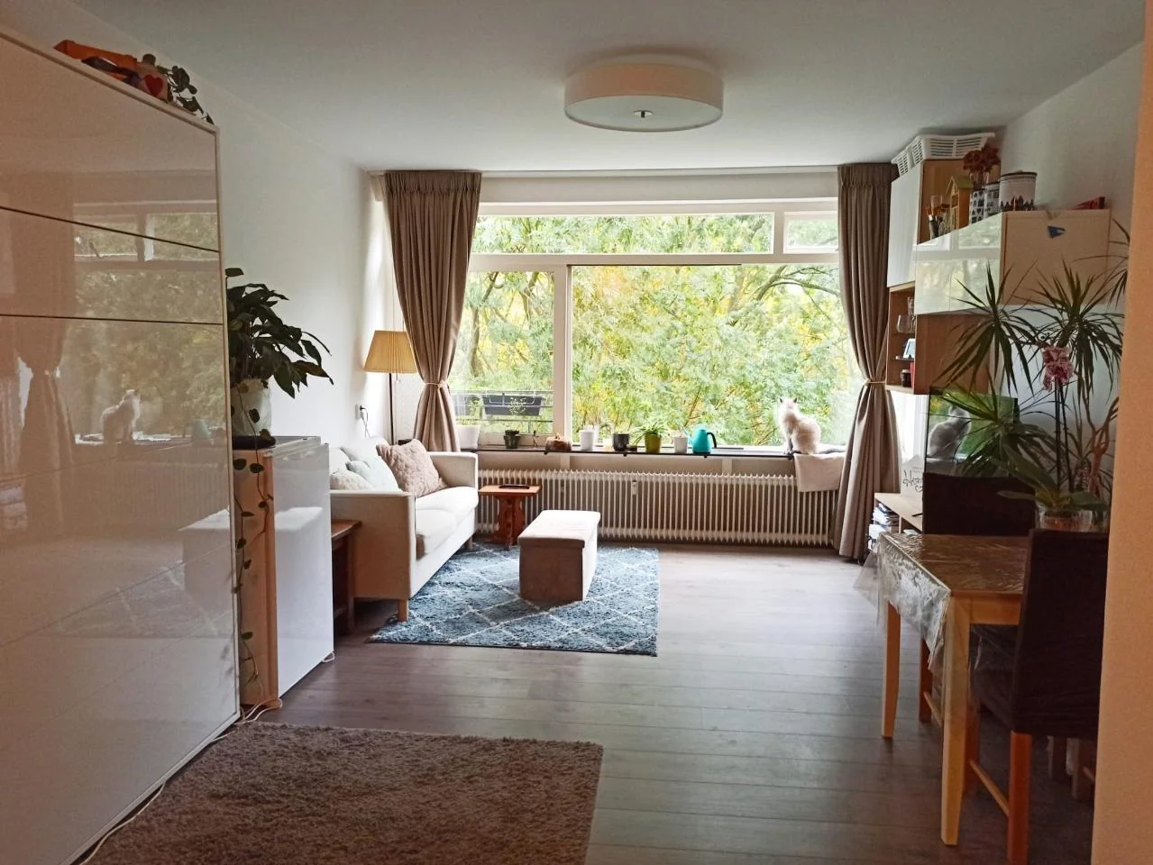Foto van de Studio gelegen aan de Haverkamp in Den Haag
