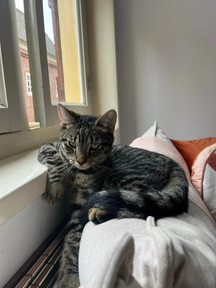 Foto van de Appartement gelegen aan de Salomonsteeg in Leiden