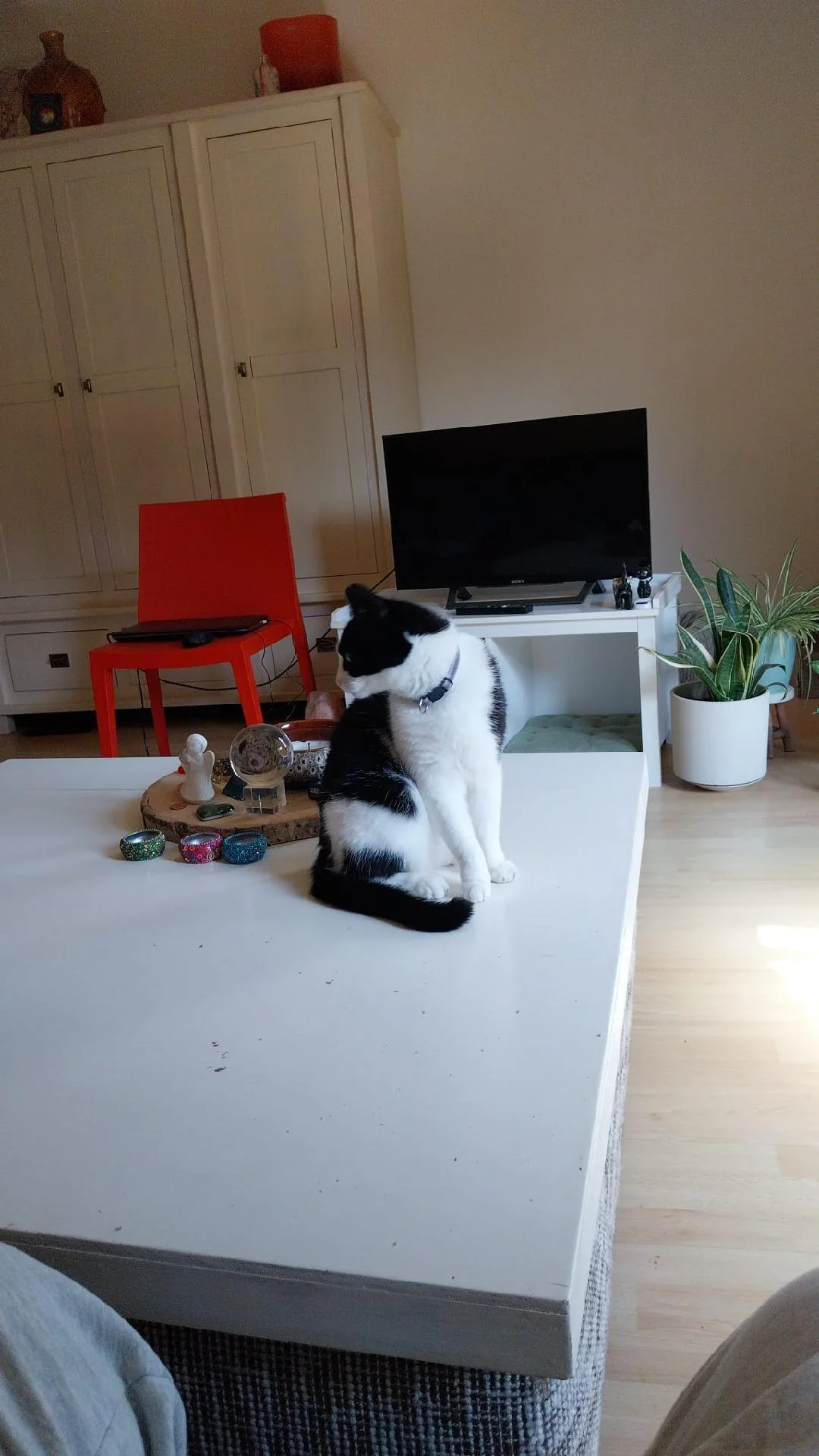 Foto van de Kamer gelegen aan de Oude Dijk in Tilburg