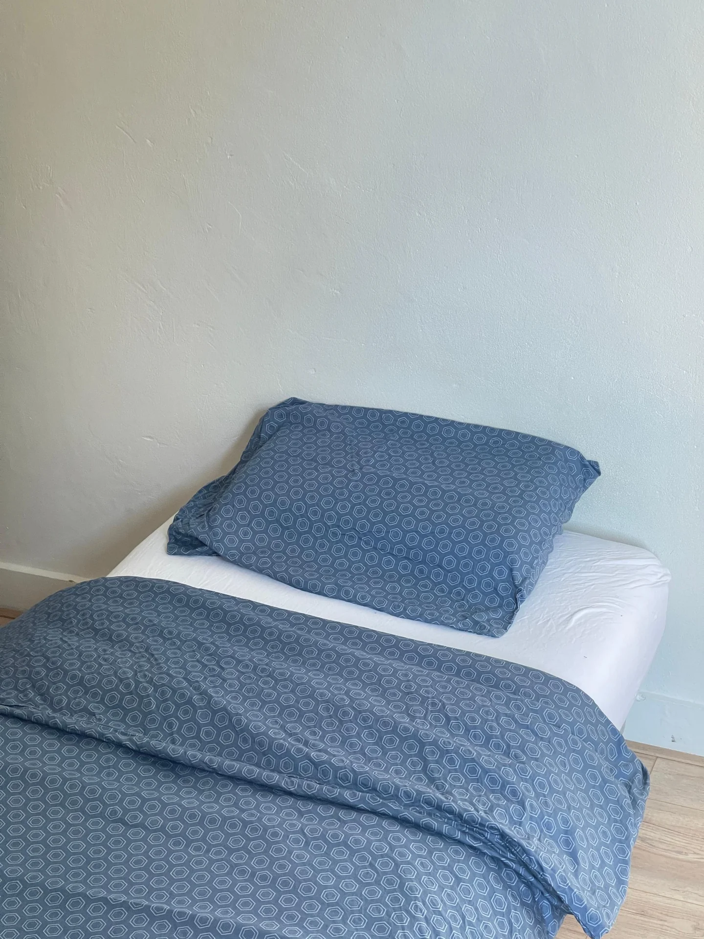 Foto van de Kamer gelegen aan de Rombout Hogerbeetsstraat in Amsterdam
