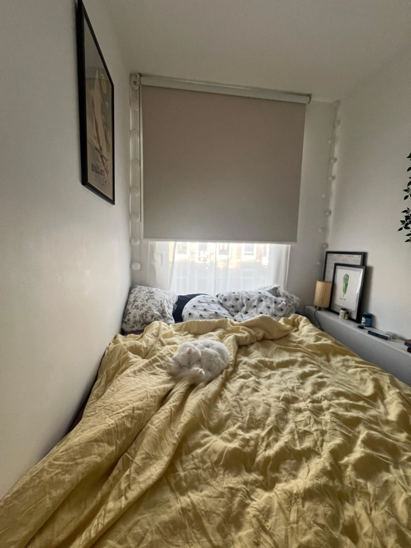 Foto van de Appartement gelegen aan de Rustenburgerstraat in Amsterdam