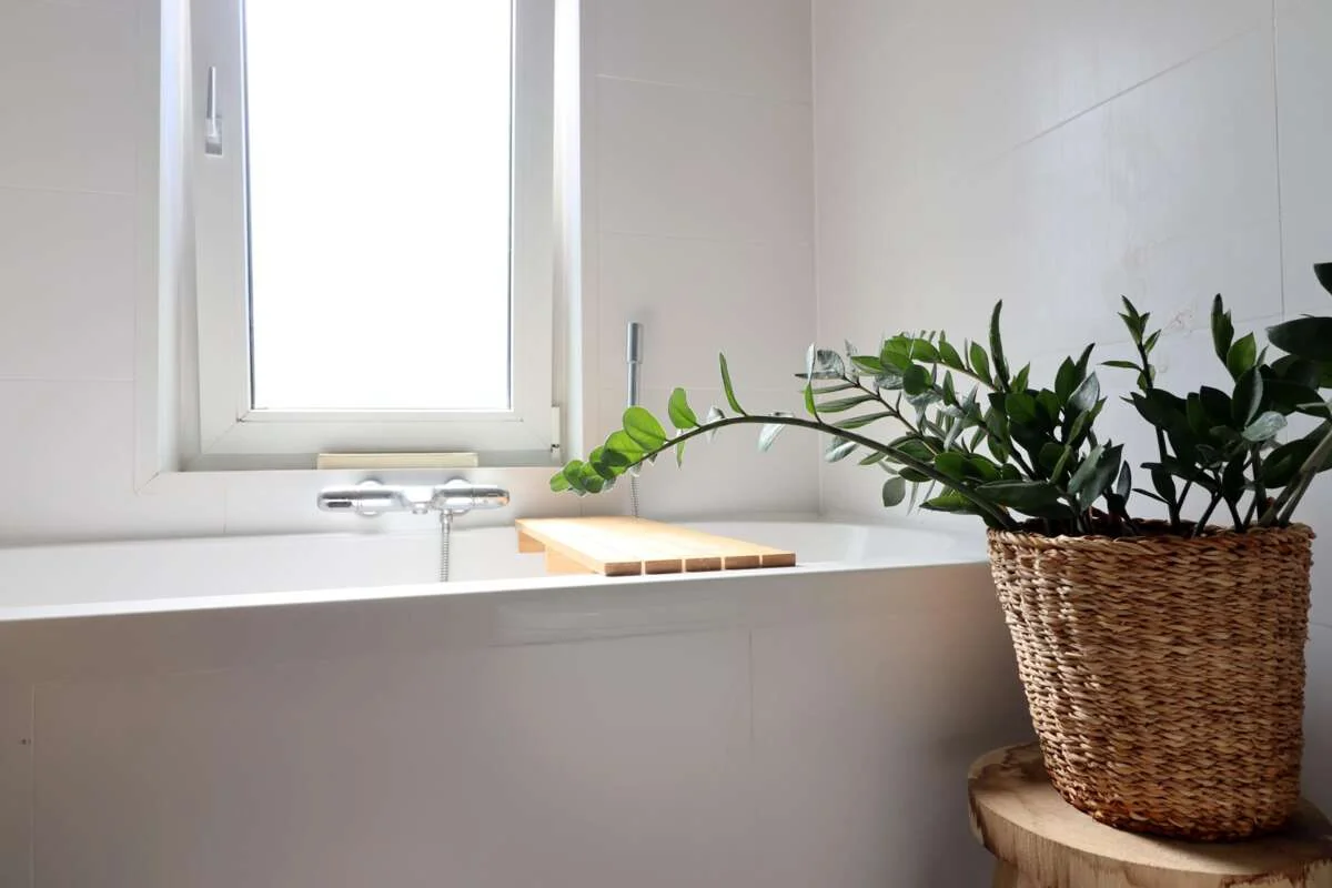 Foto van de Appartement gelegen aan de Jan Luykenstraat in Utrecht