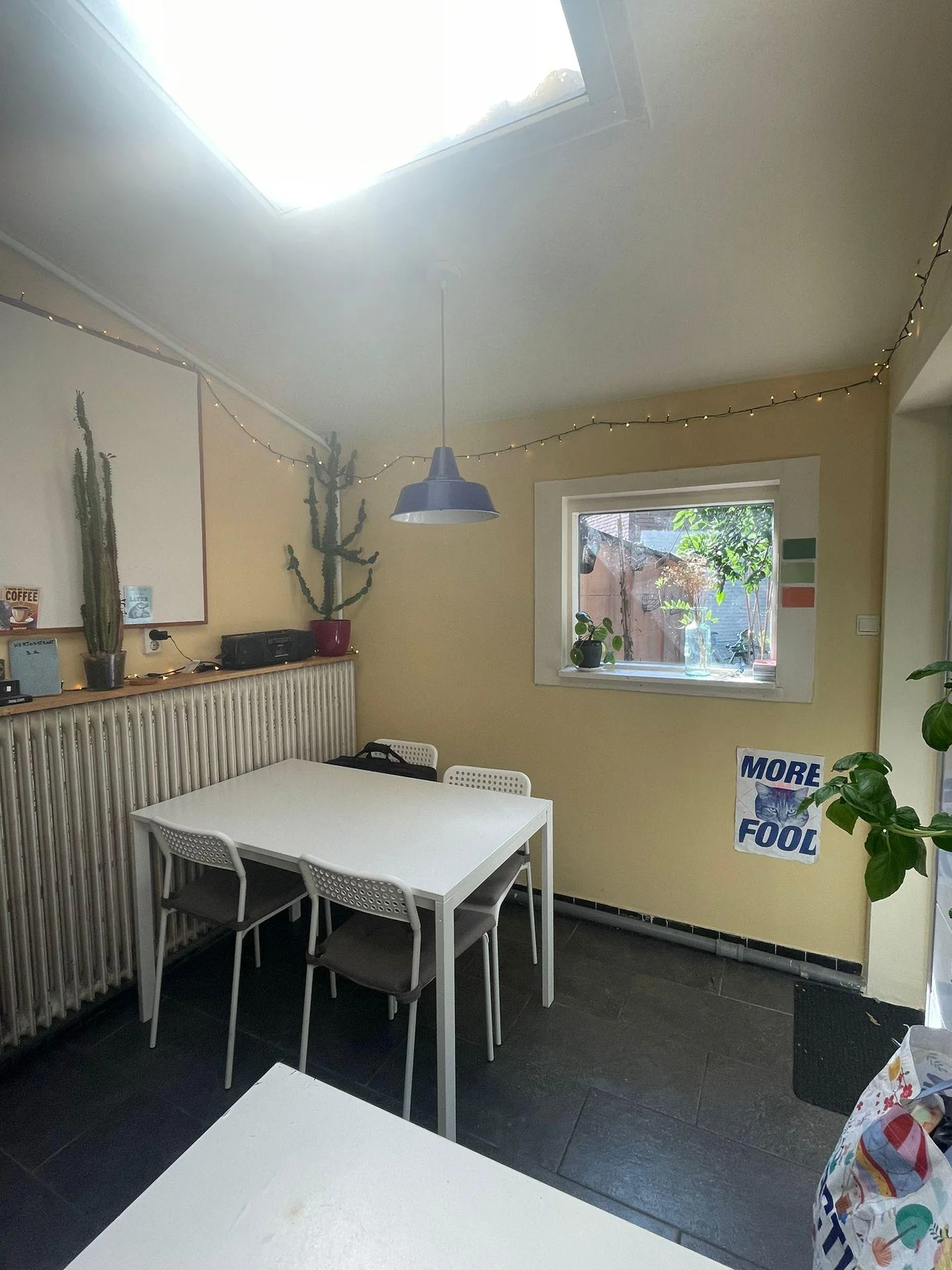Foto van de Kamer gelegen aan de Hertogstraat in Eindhoven