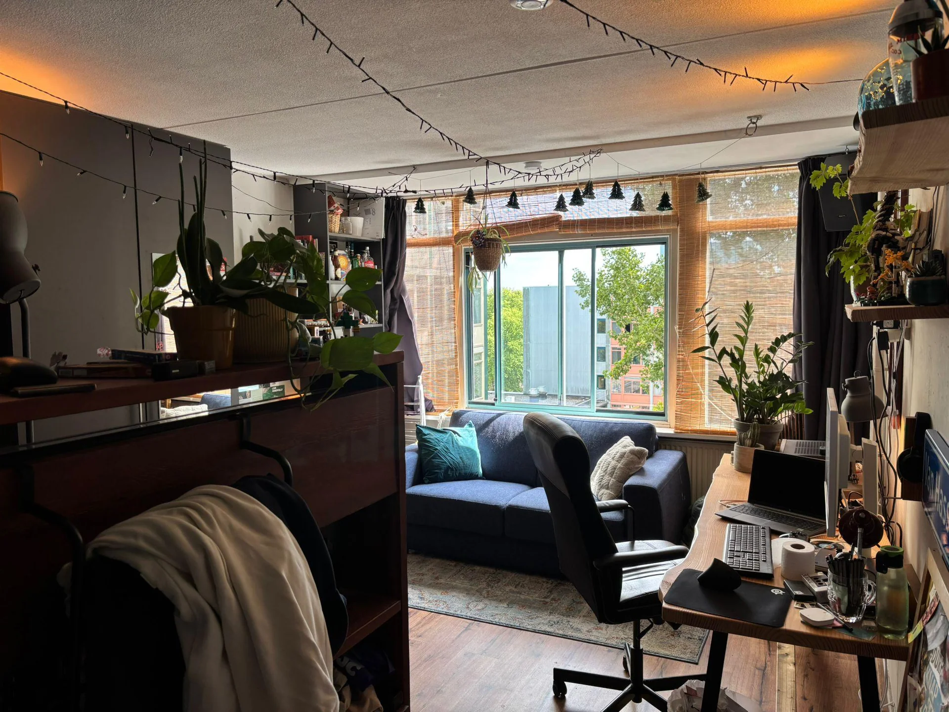 Foto van de Kamer gelegen aan de Van Hasseltlaan in Delft