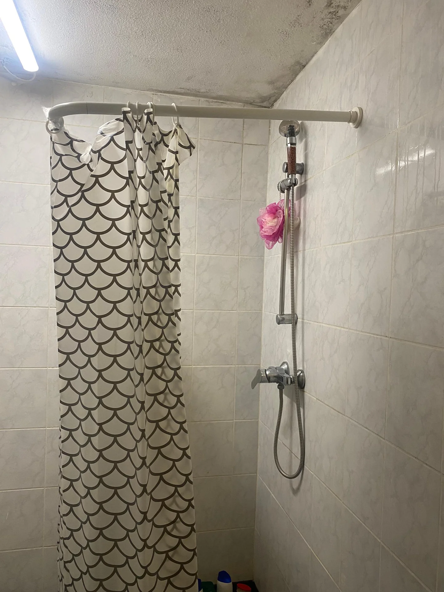Foto van de Kamer gelegen aan de Lontarpalmstraat in Amsterdam