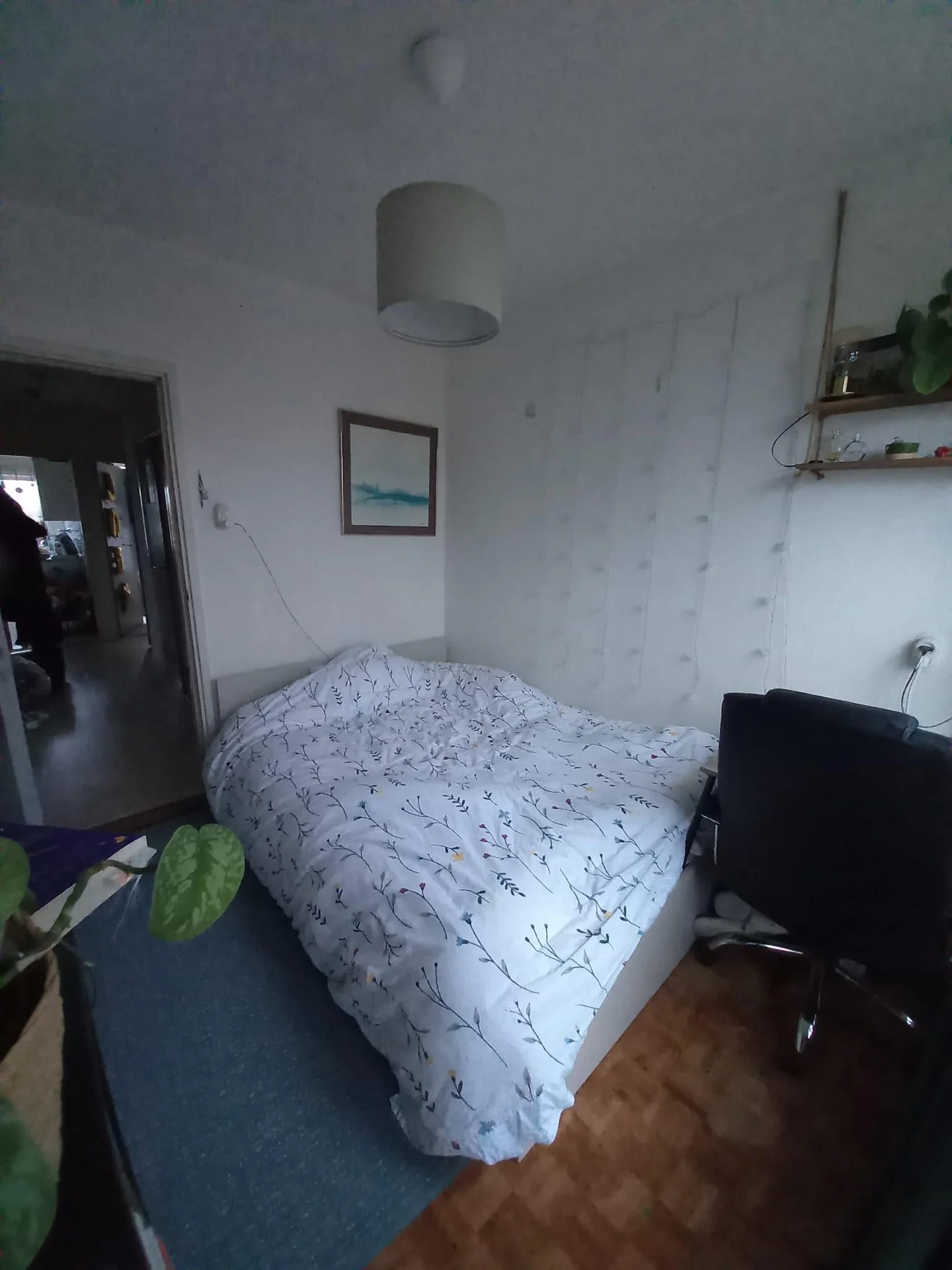 Foto van de Appartement gelegen aan de Balistraat in Delft