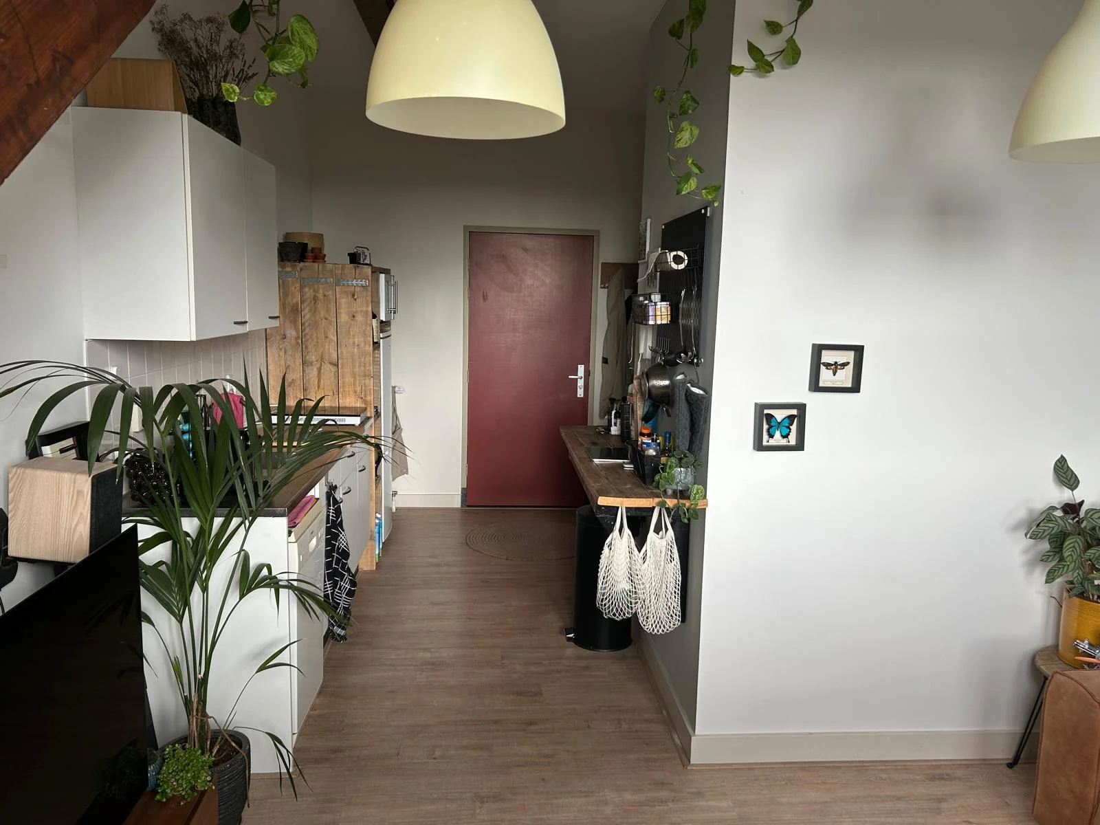 Foto van de Studio gelegen aan de Mijnbouwplein in Delft