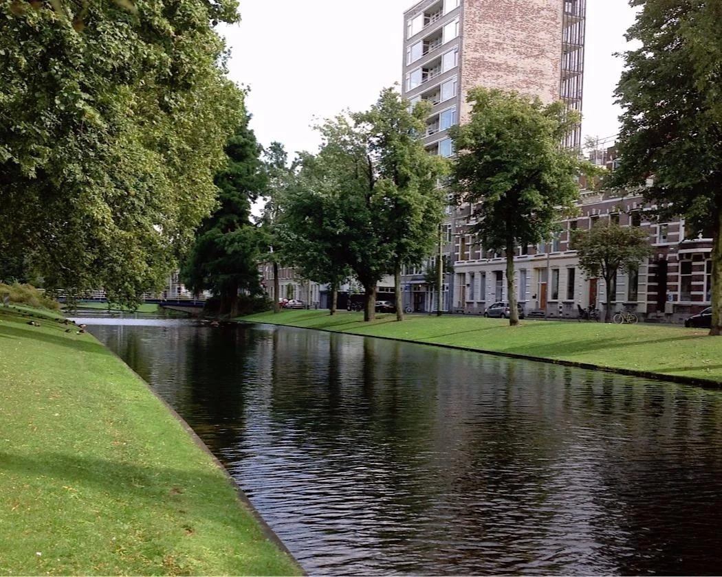 Foto van de Kamer gelegen aan de Noordsingel in Rotterdam