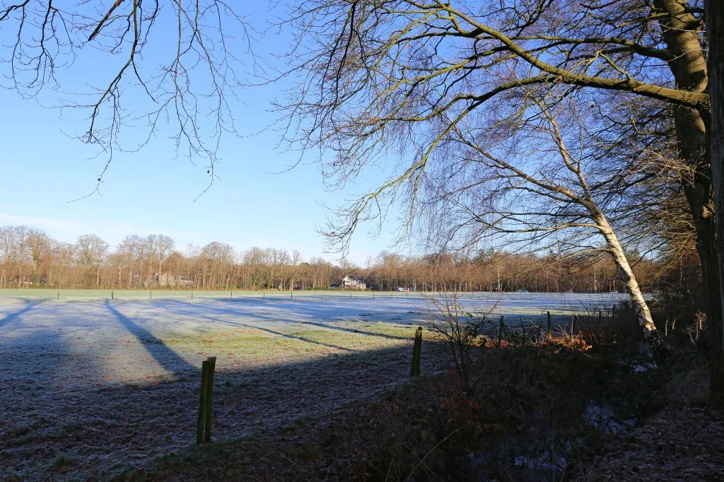 Foto van de Appartement gelegen aan de Laan van Rijnwijk in Zeist