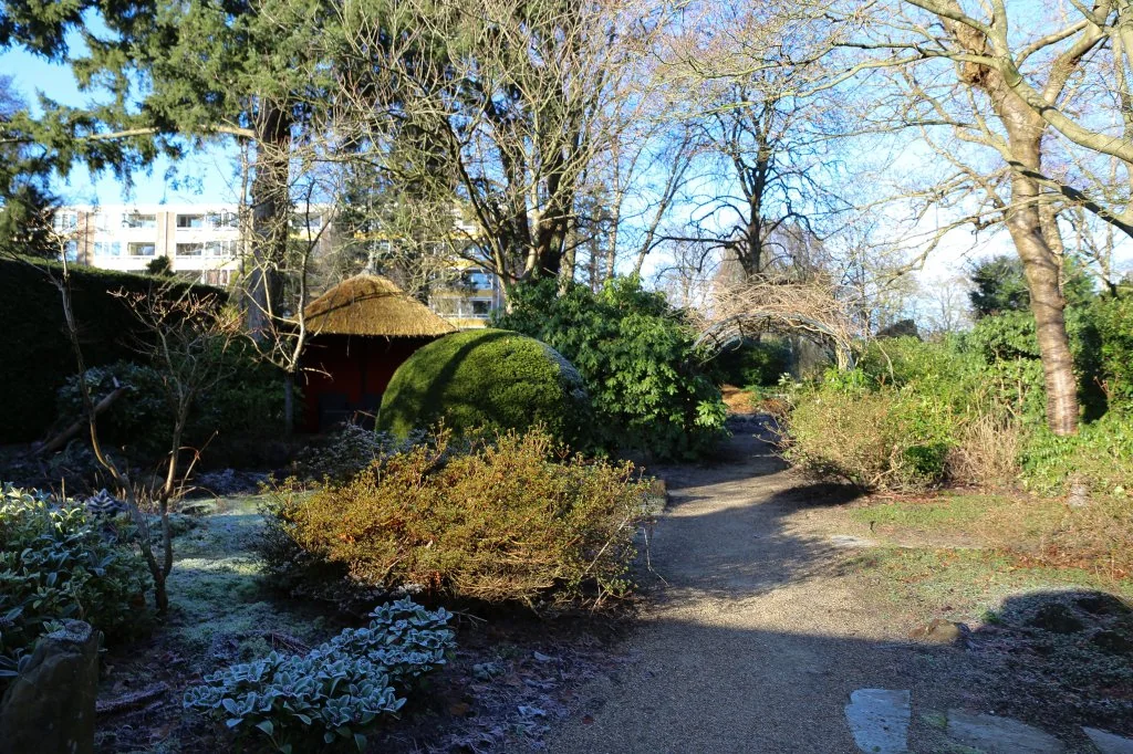 Foto van de Appartement gelegen aan de Laan van Rijnwijk in Zeist