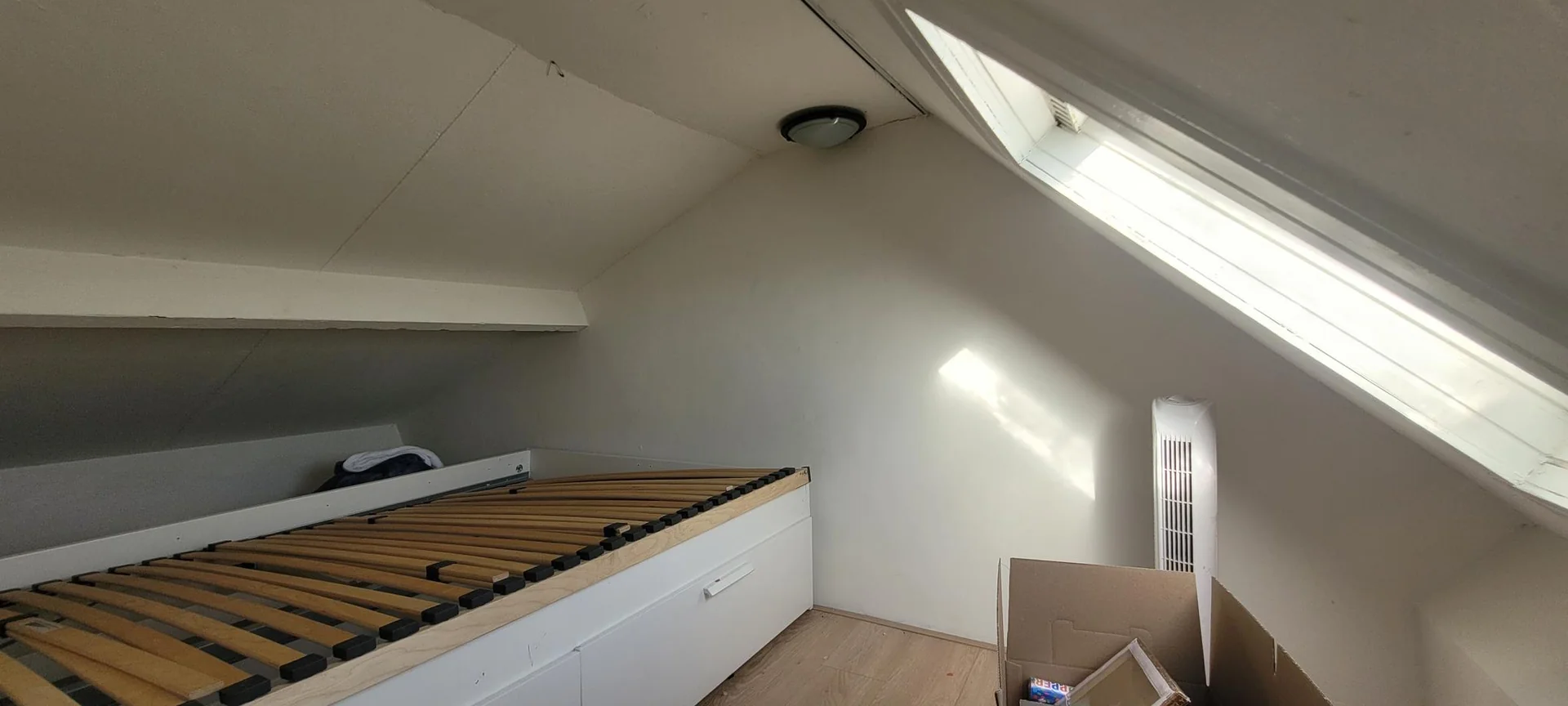 Foto van de Kamer gelegen aan de Grebbedijk in Wageningen