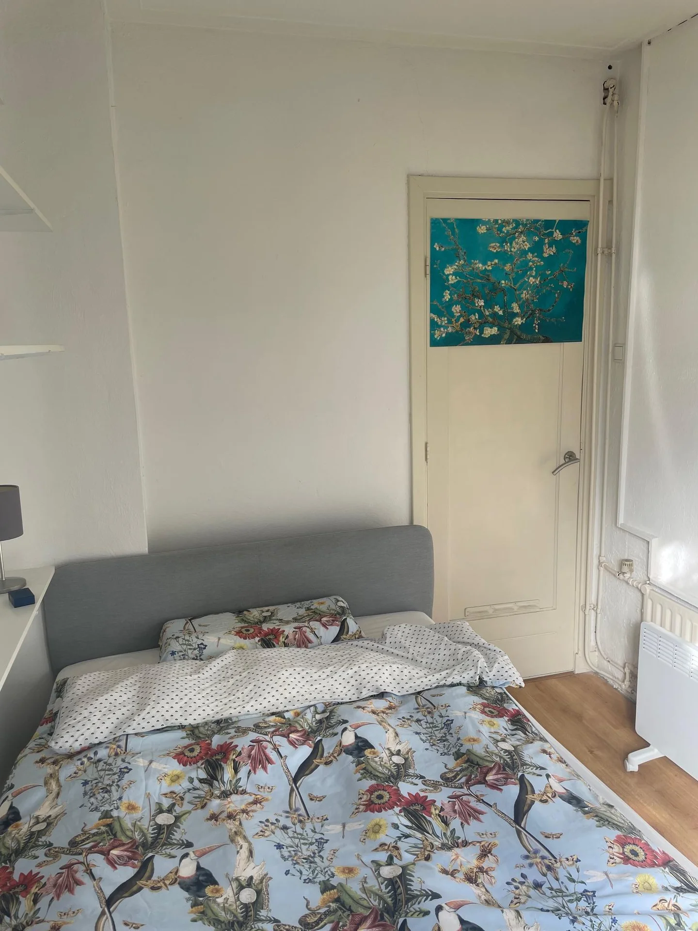 Foto van de Kamer gelegen aan de Egidiusstraat in Amsterdam
