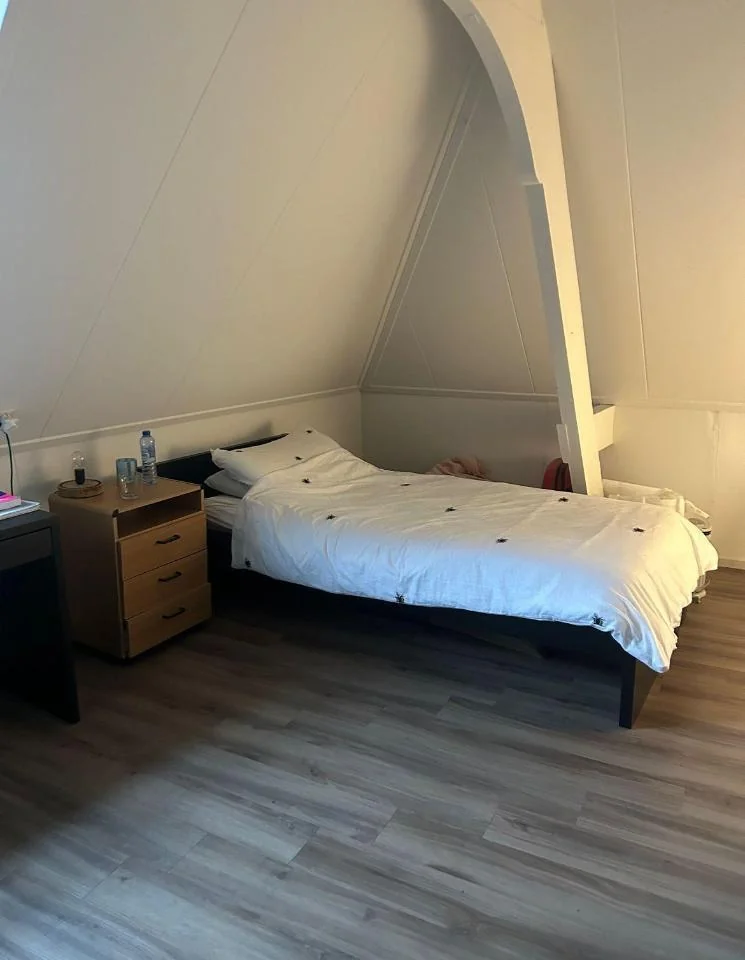Foto van de Kamer gelegen aan de Wittevrouwensingel in Utrecht