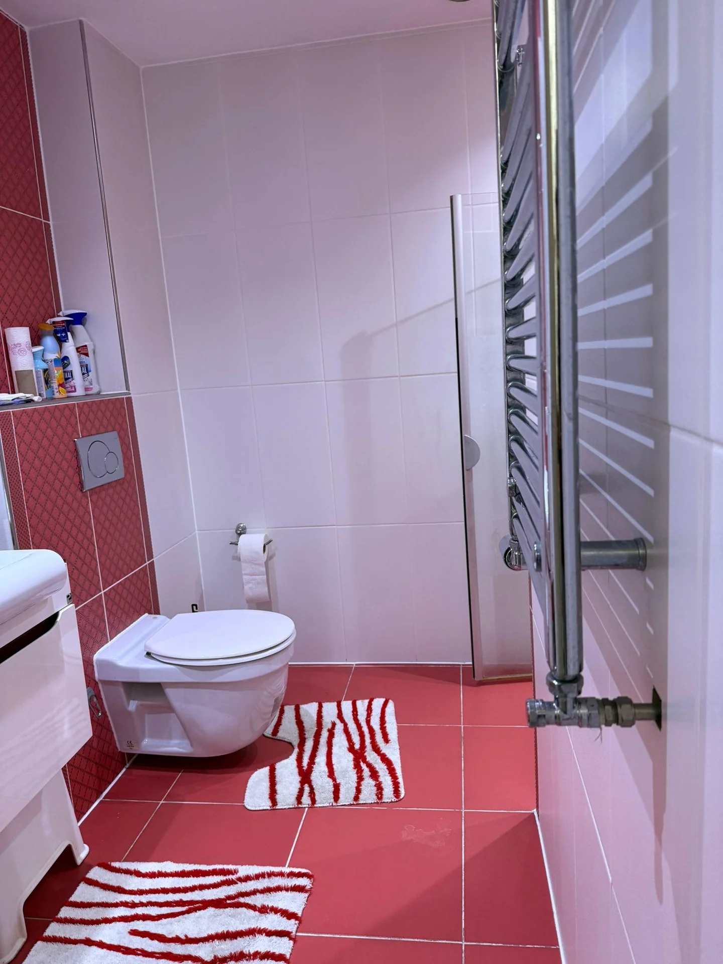 Foto van de Kamer gelegen aan de Troelstralaan in Amsterdam