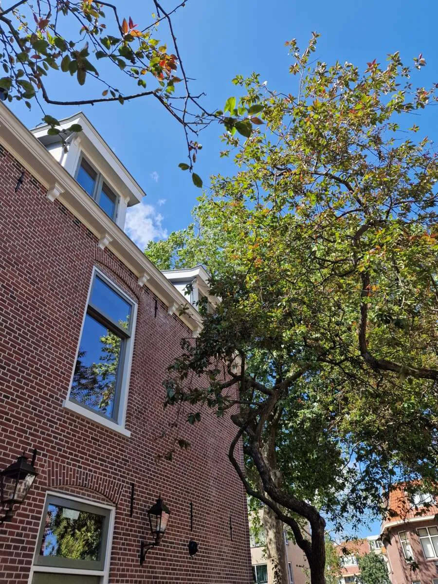 Foto van de Appartement gelegen aan de Brandewijnsgracht in Leiden