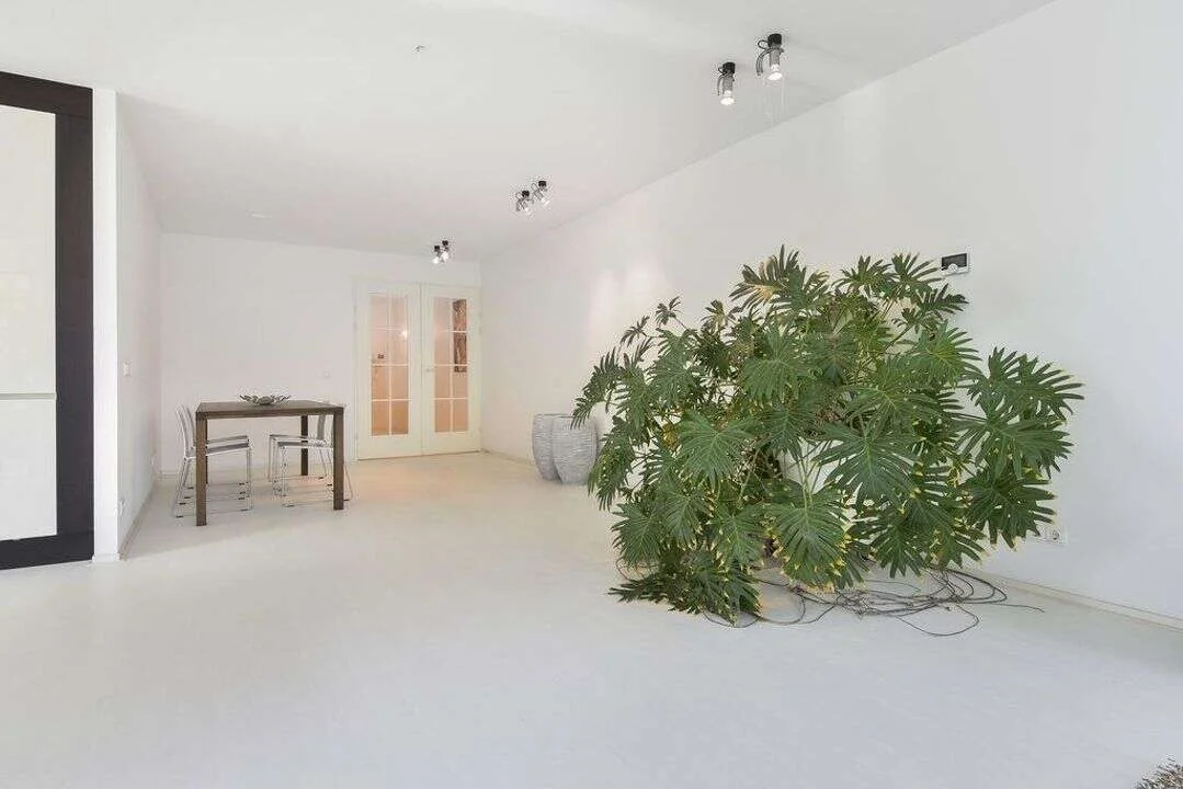Foto van de Appartement gelegen aan de Thorbeckelaan in Den Haag