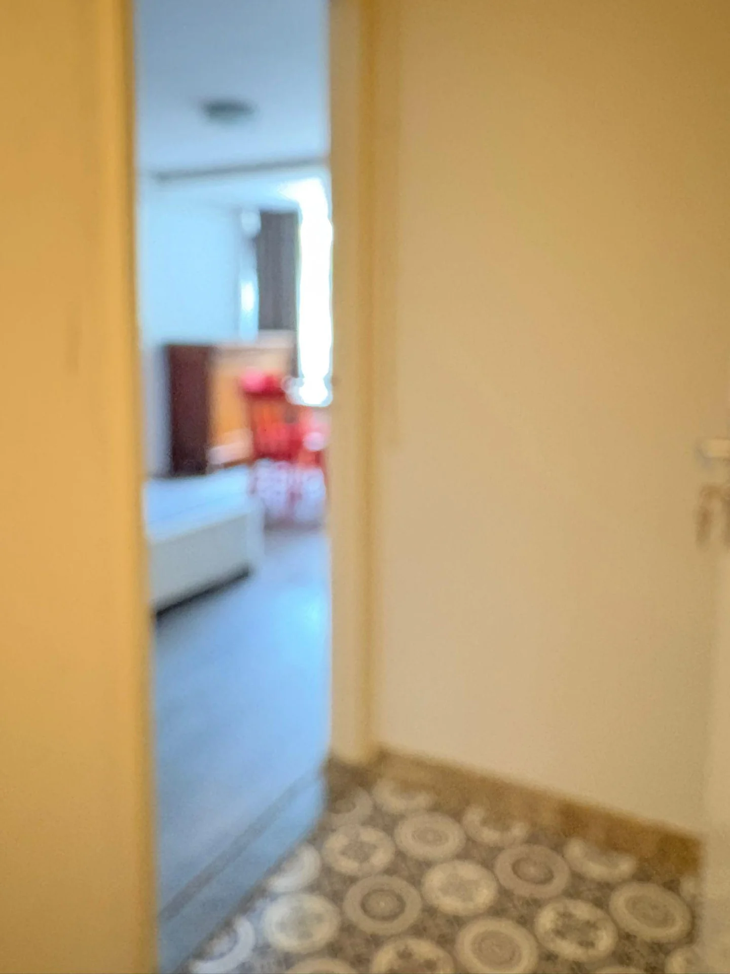 Foto van de Kamer gelegen aan de Henry Dunantlaan in Delft