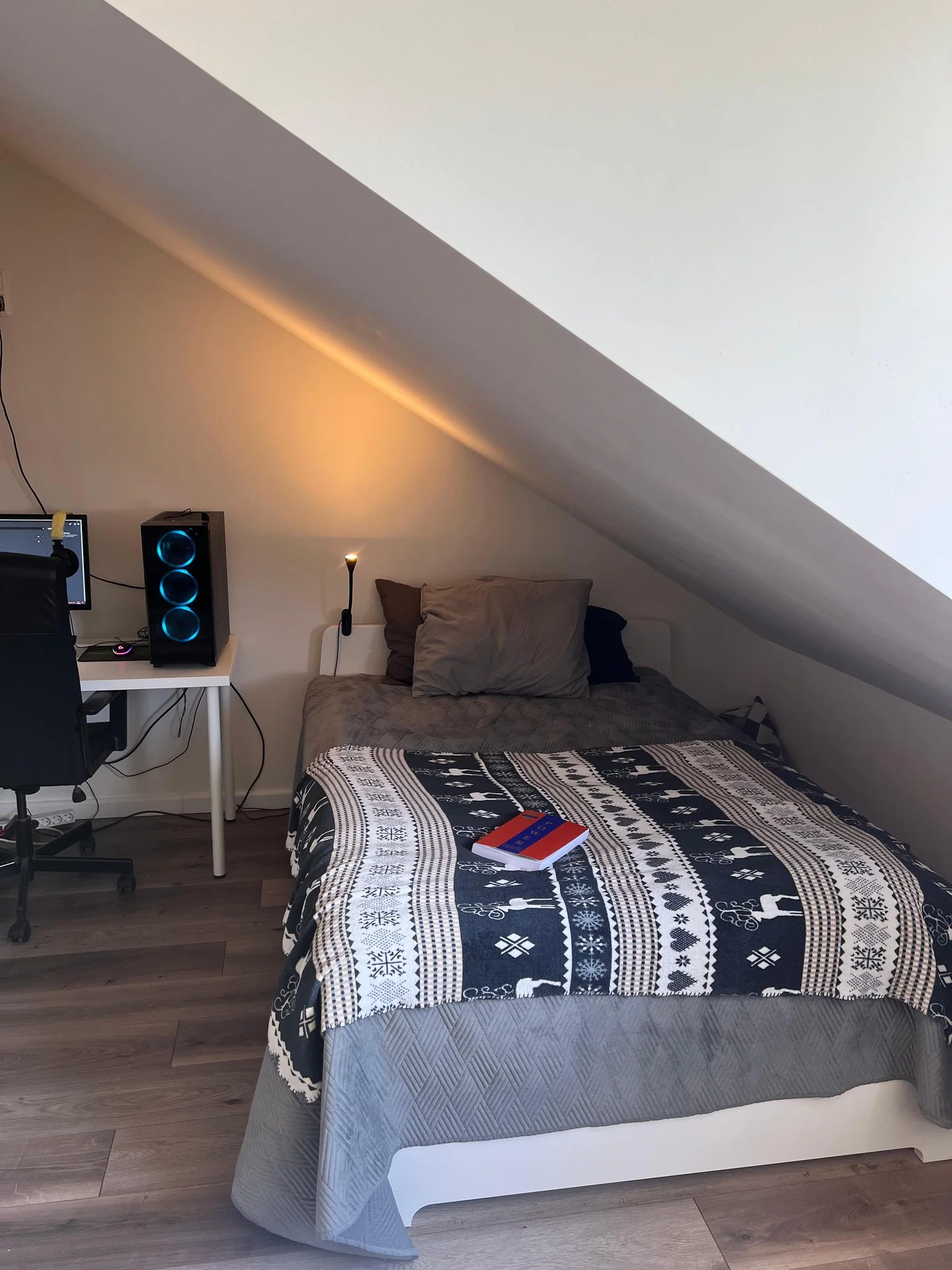 Foto van de Kamer gelegen aan de Lovensestraat in Tilburg