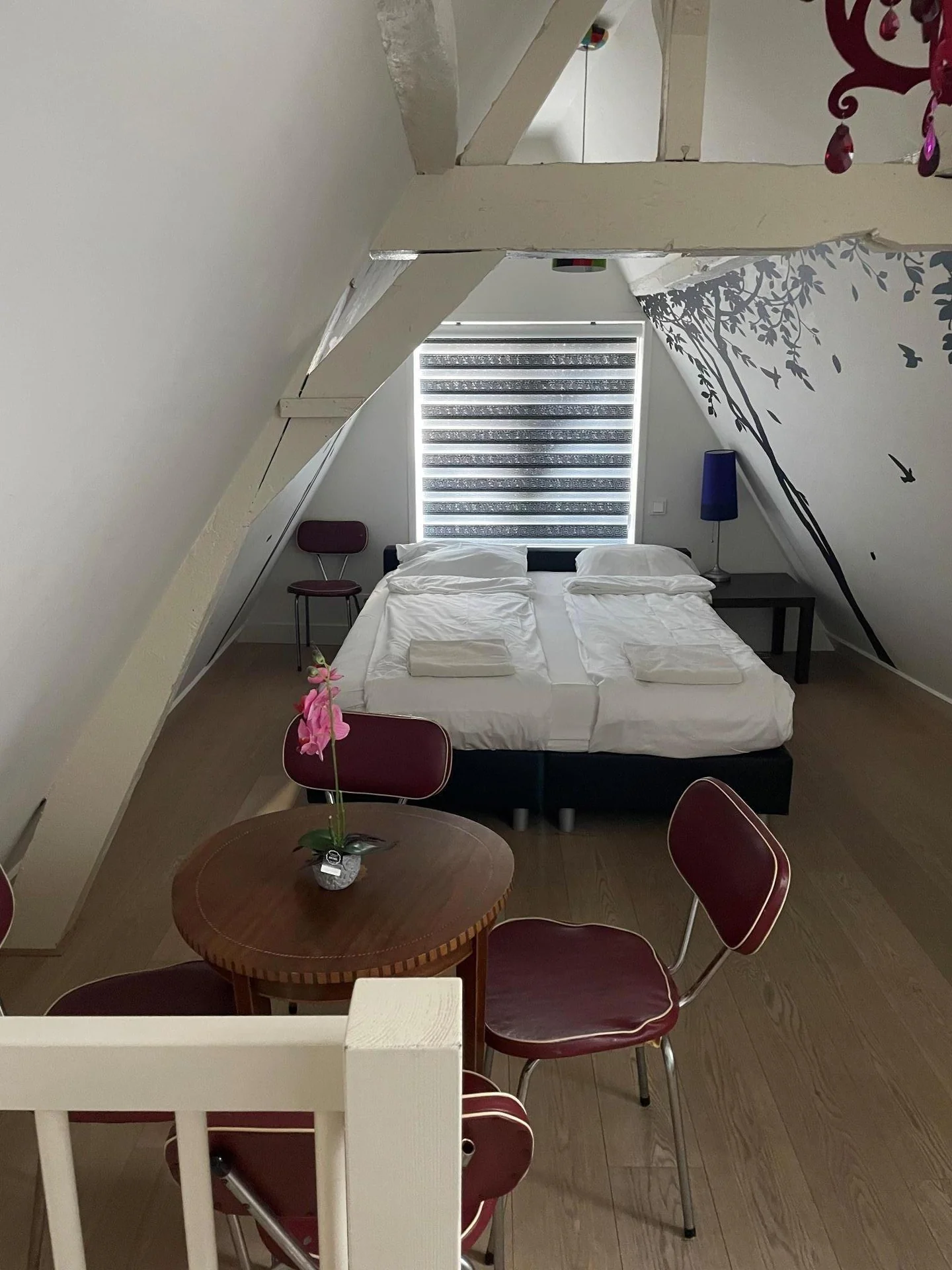Foto van de Appartement gelegen aan de Jacobijnestraat in Haarlem