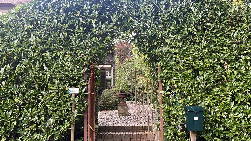 Foto van de Studio gelegen aan de Torenlaan in Blaricum