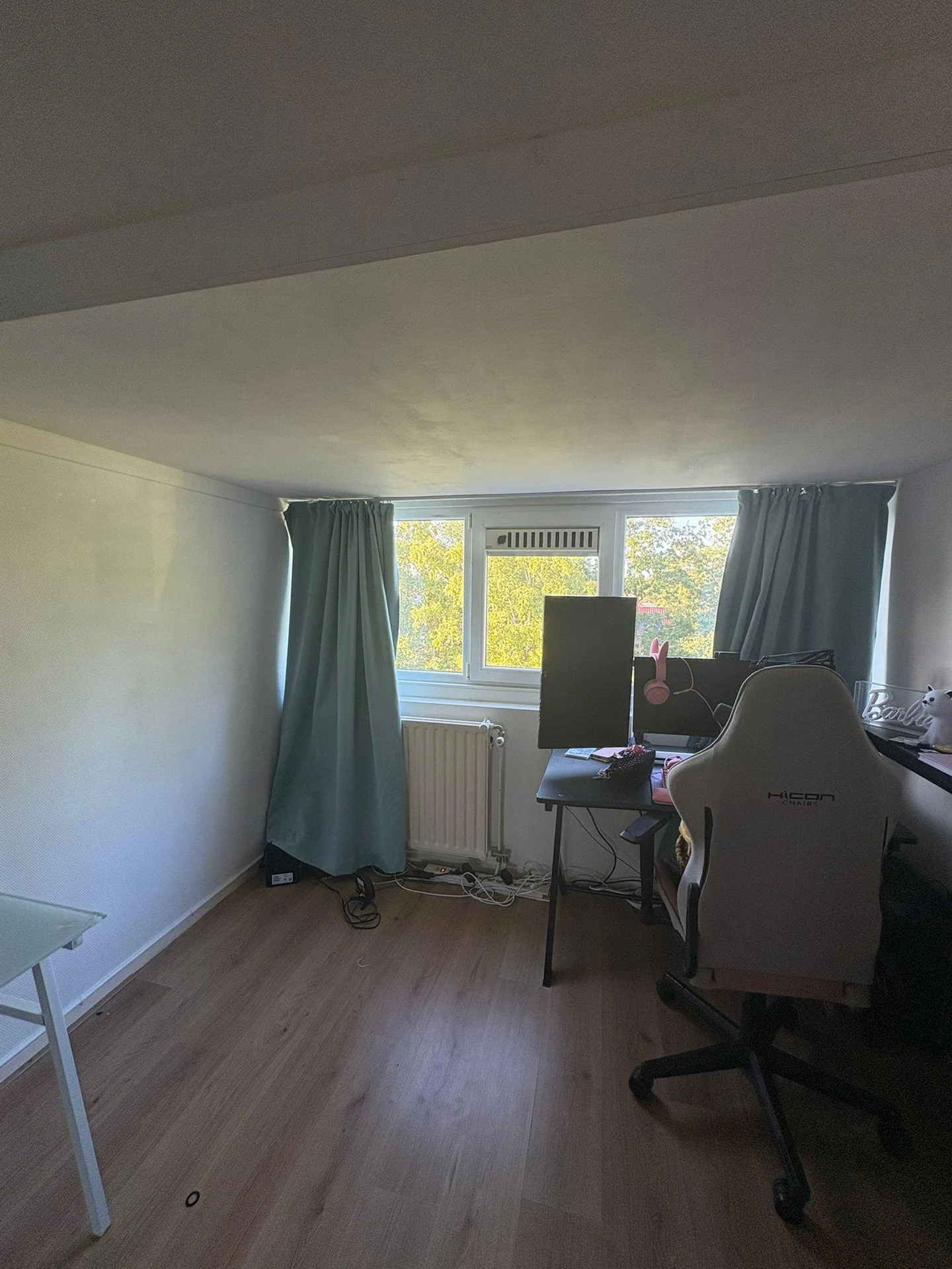 Foto van de Kamer gelegen aan de Adriaen van Ostadelaan in Amstelveen