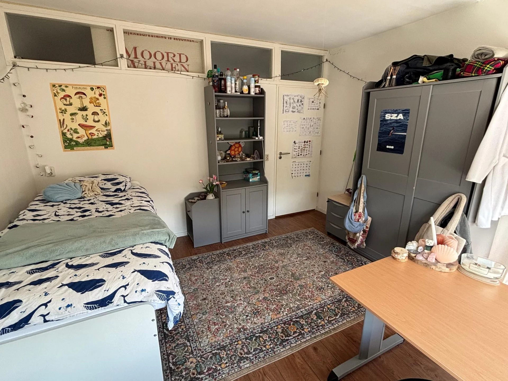 Foto van de Kamer gelegen aan de Plutolaan in Groningen