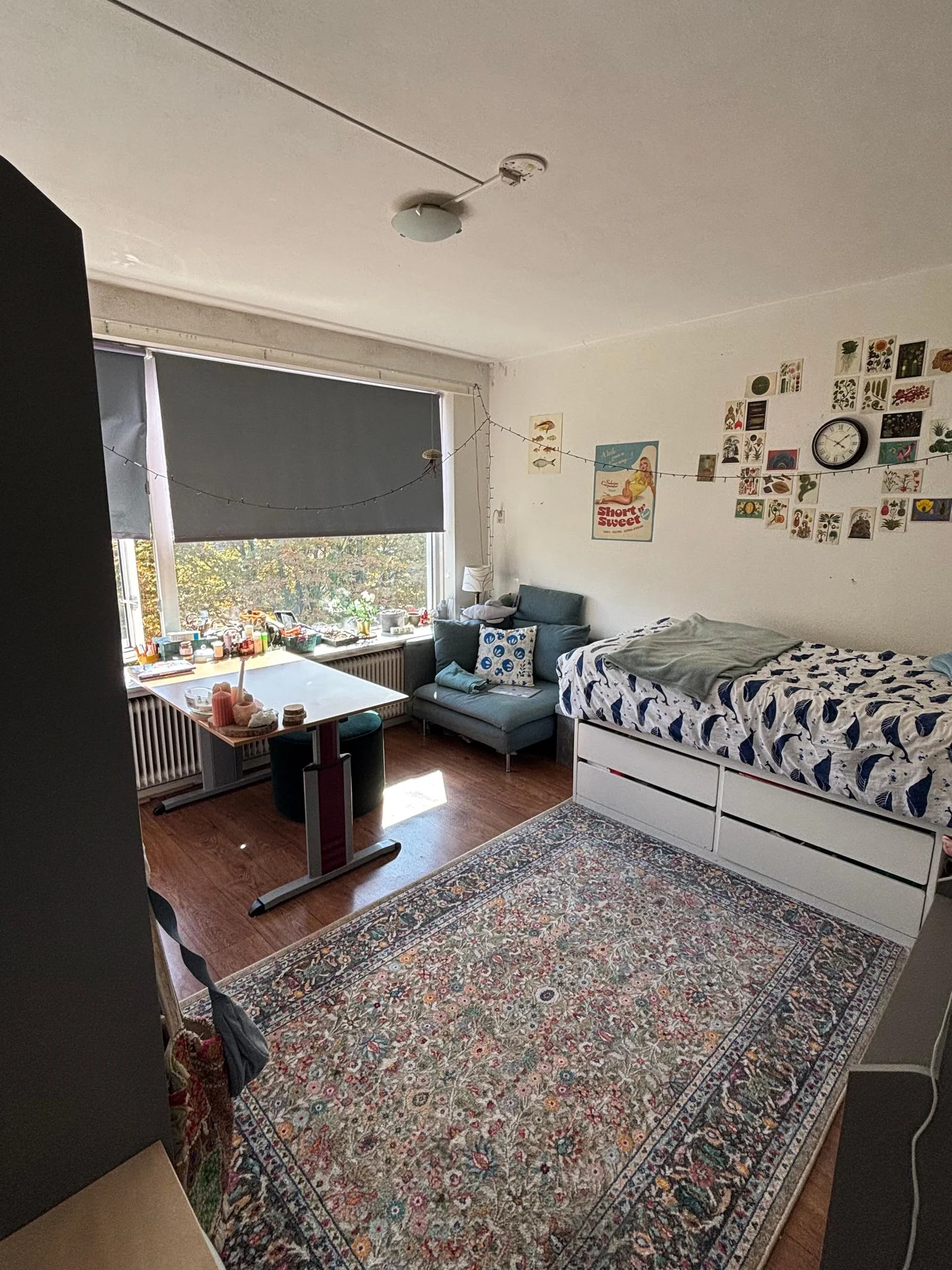 Foto van de Kamer gelegen aan de Plutolaan in Groningen