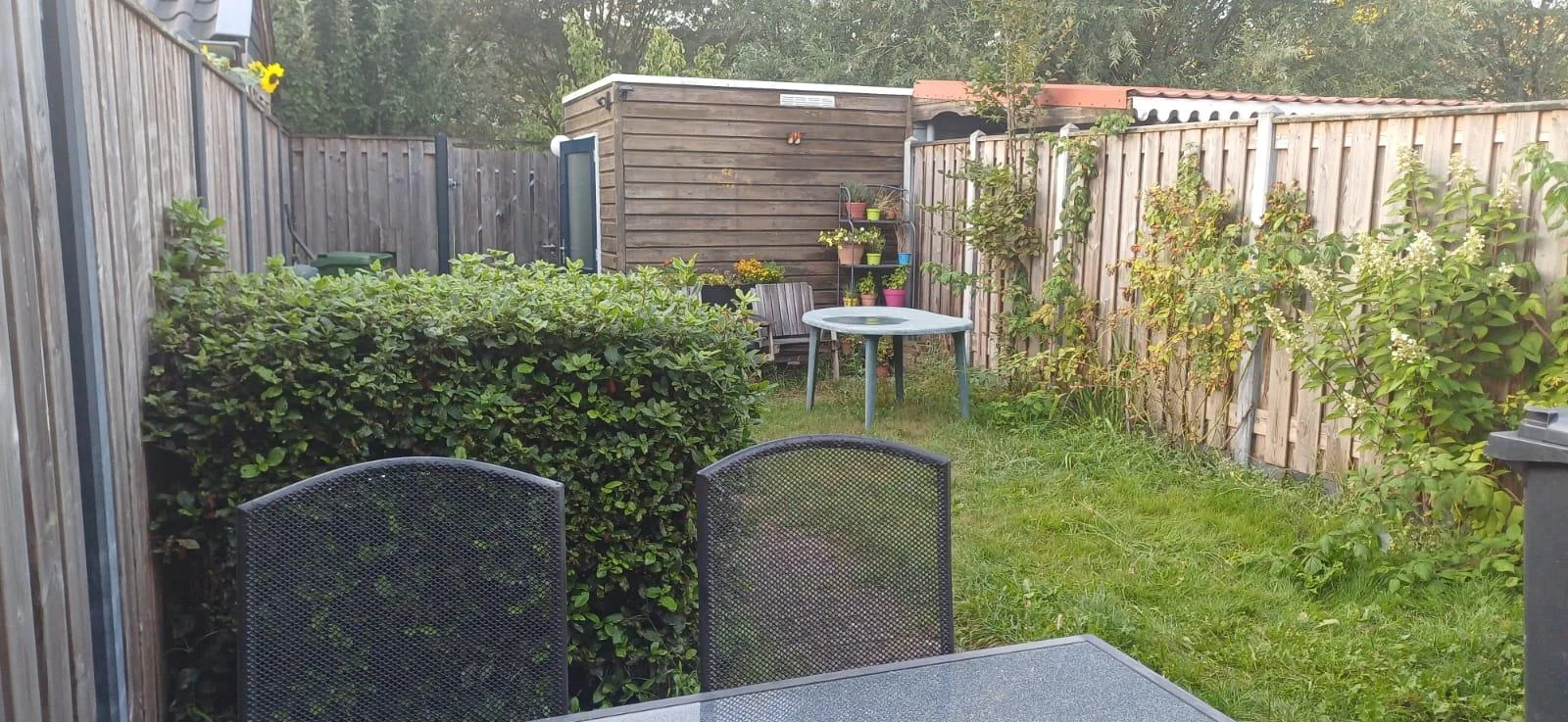 Foto van de Kamer gelegen aan de Wim Kanstraat in Wageningen