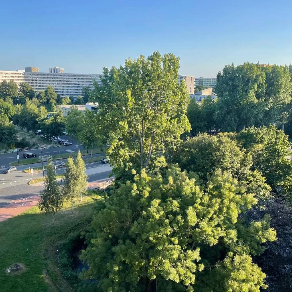 Foto van de Kamer gelegen aan de Groenhoven in Amsterdam
