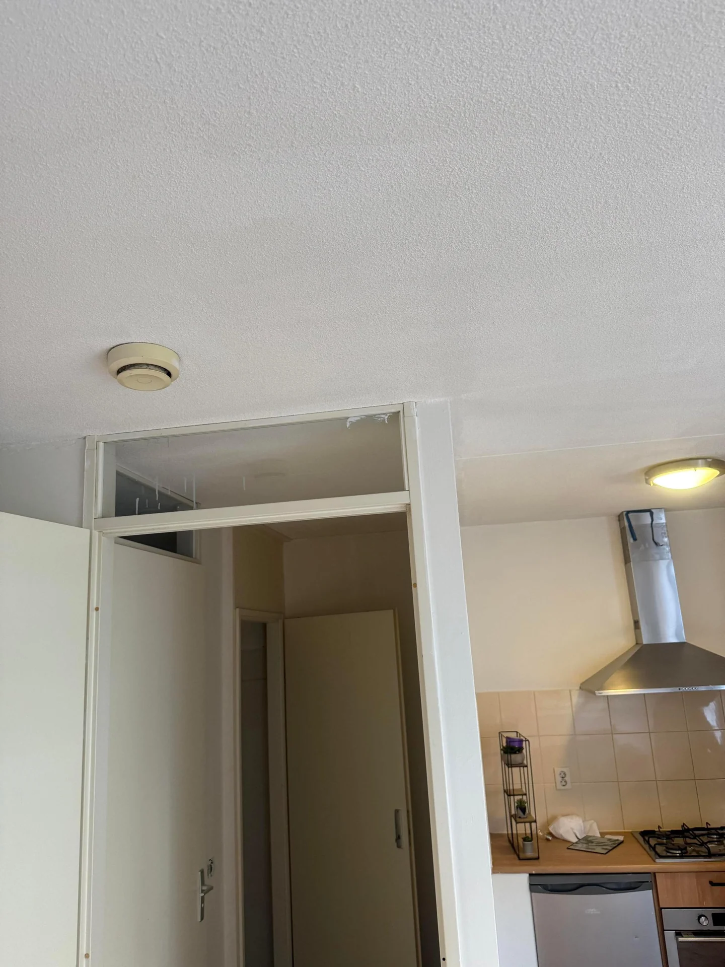 Foto van de Studio gelegen aan de Juttepeerpad in Amsterdam