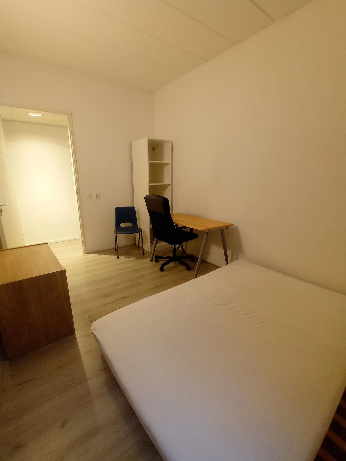 Foto van de Kamer gelegen aan de Romerselaan in Arnhem