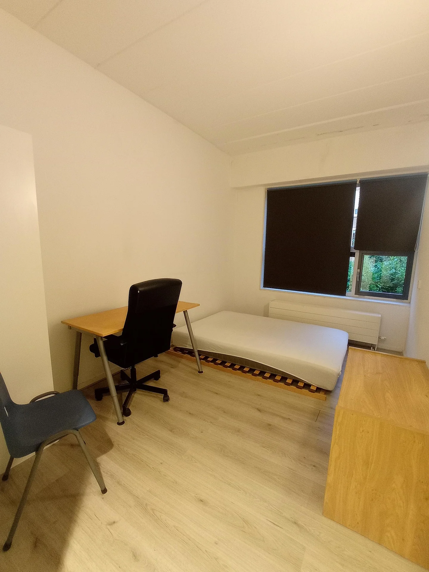 Foto van de Kamer gelegen aan de Romerselaan in Arnhem