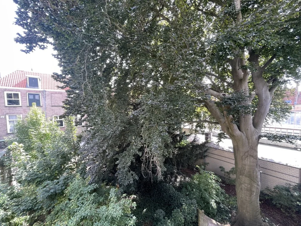 Foto van de Appartement gelegen aan de Striksteeg in Deventer