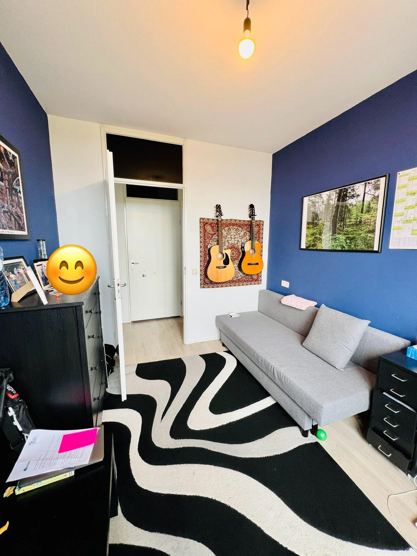 Foto van de Kamer gelegen aan de Laan der Hesperiden in Amsterdam