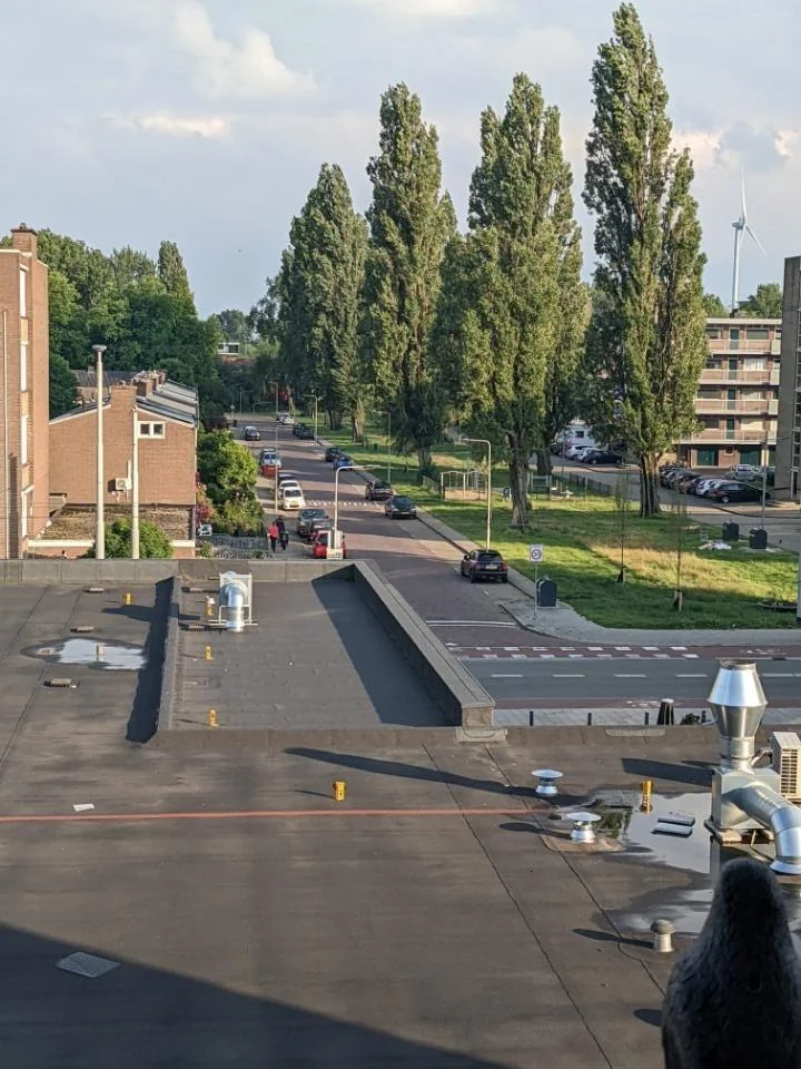 Foto van de Kamer gelegen aan de Hanzestraat in Arnhem