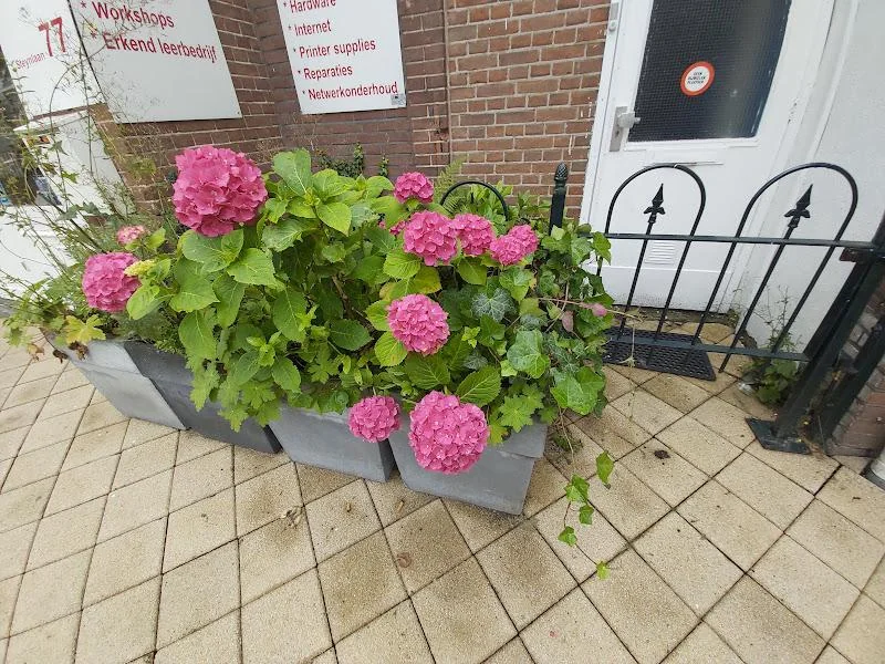 Foto van de Kamer gelegen aan de Steynlaan in Zeist