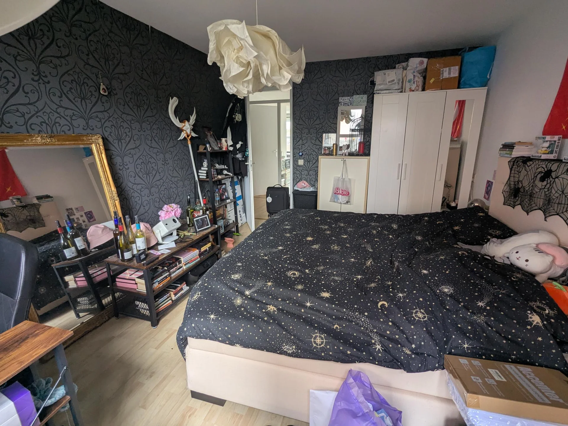 Foto van de Kamer gelegen aan de Rijswijkseweg in Den Haag