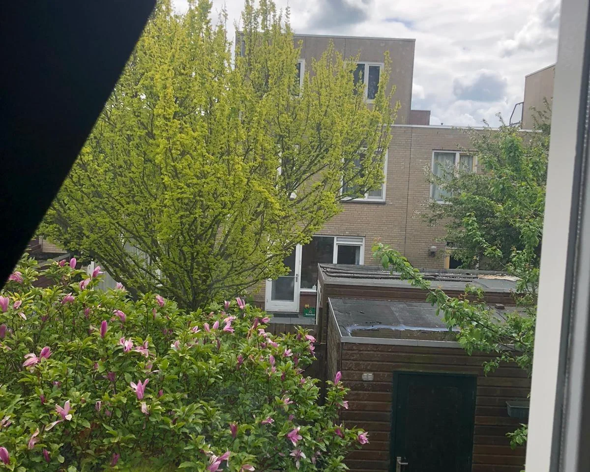 Foto van de Kamer gelegen aan de Rossinistraat in Gouda