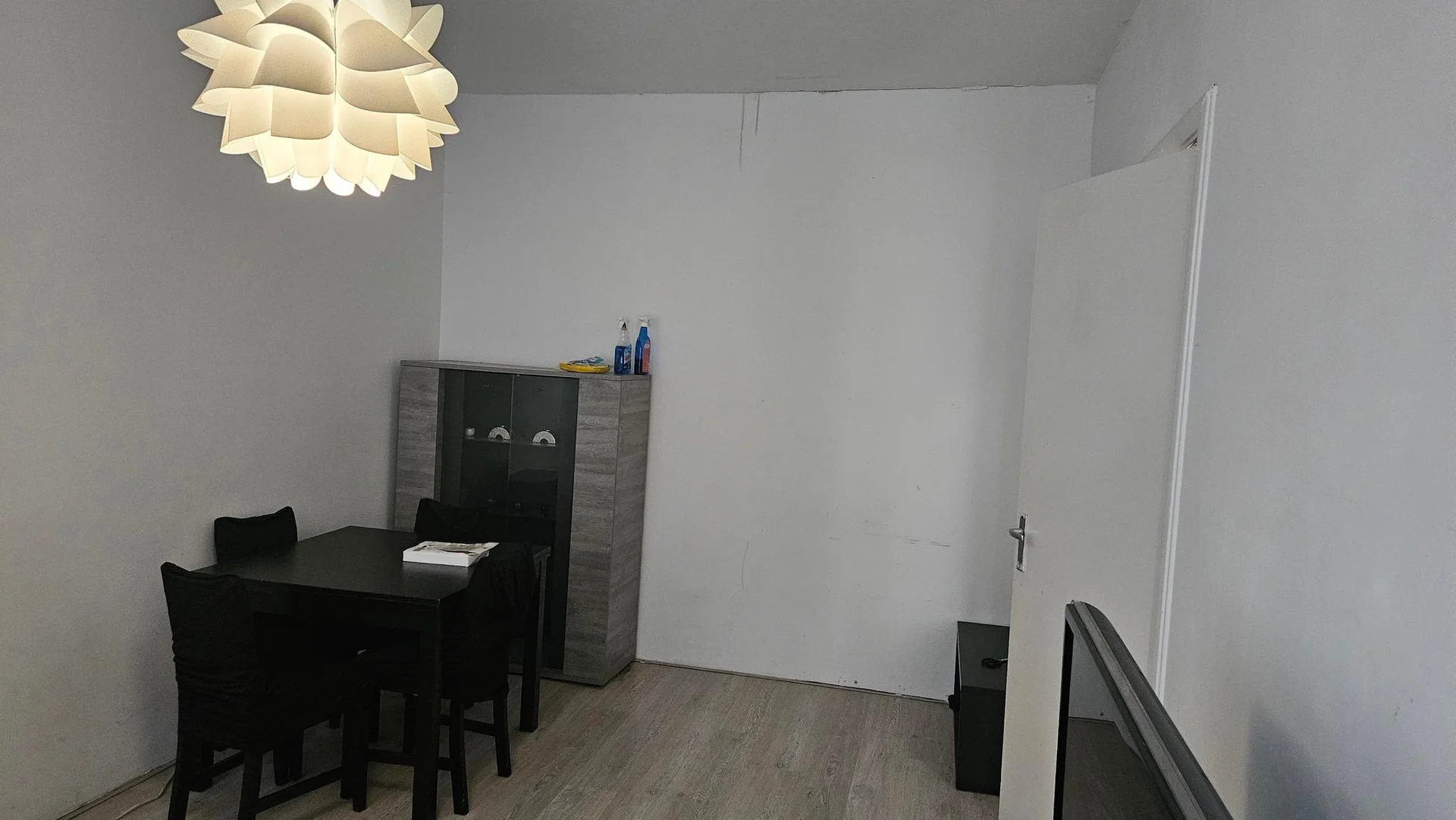 Foto van de Appartement gelegen aan de Hoefkade in Den Haag