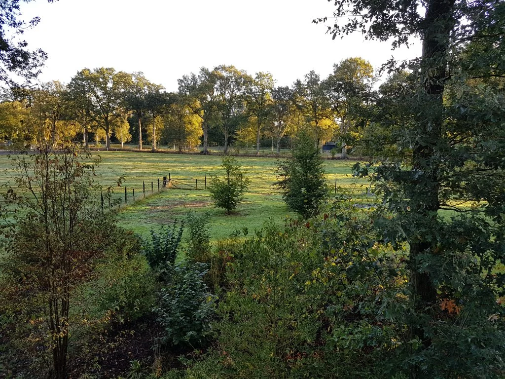Foto van de Appartement gelegen aan de Weisinkhoekweg in Enschede
