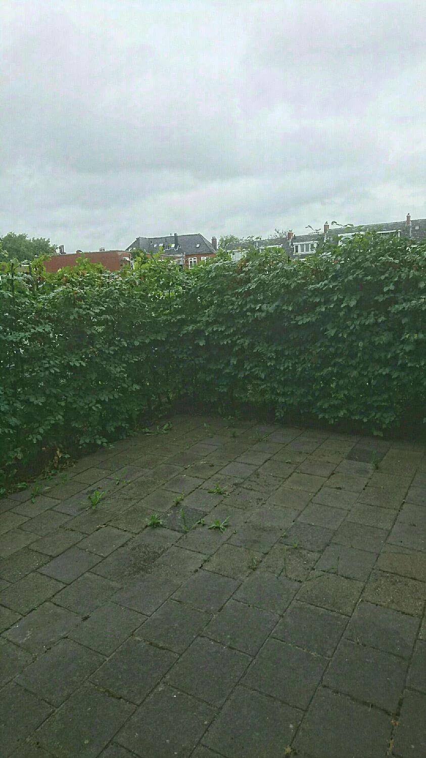 Foto van de Appartement gelegen aan de Brinklaan in Groningen