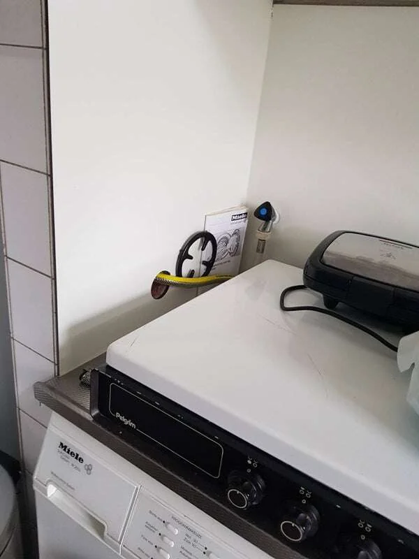Foto van de Appartement gelegen aan de Rhododendronstraat in Den Haag