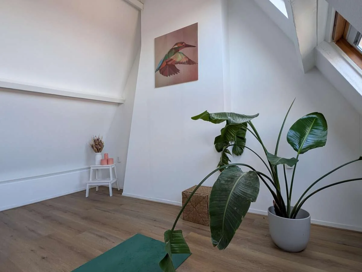 Foto van de Appartement gelegen aan de Sportlaan in Den Haag