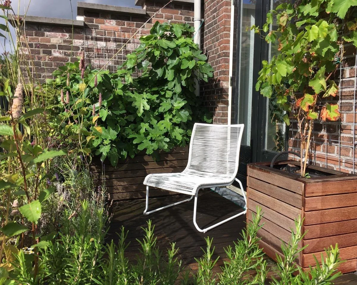 Foto van de Kamer gelegen aan de Claes de Vrieselaan in Rotterdam