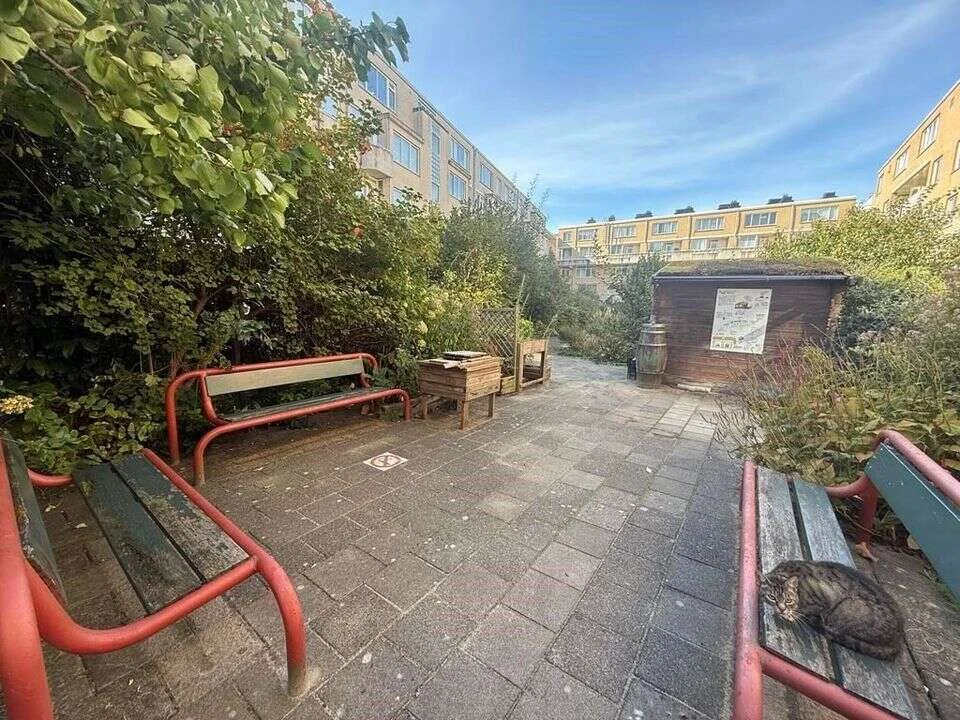Foto van de Appartement gelegen aan de Lutmastraat in Amsterdam