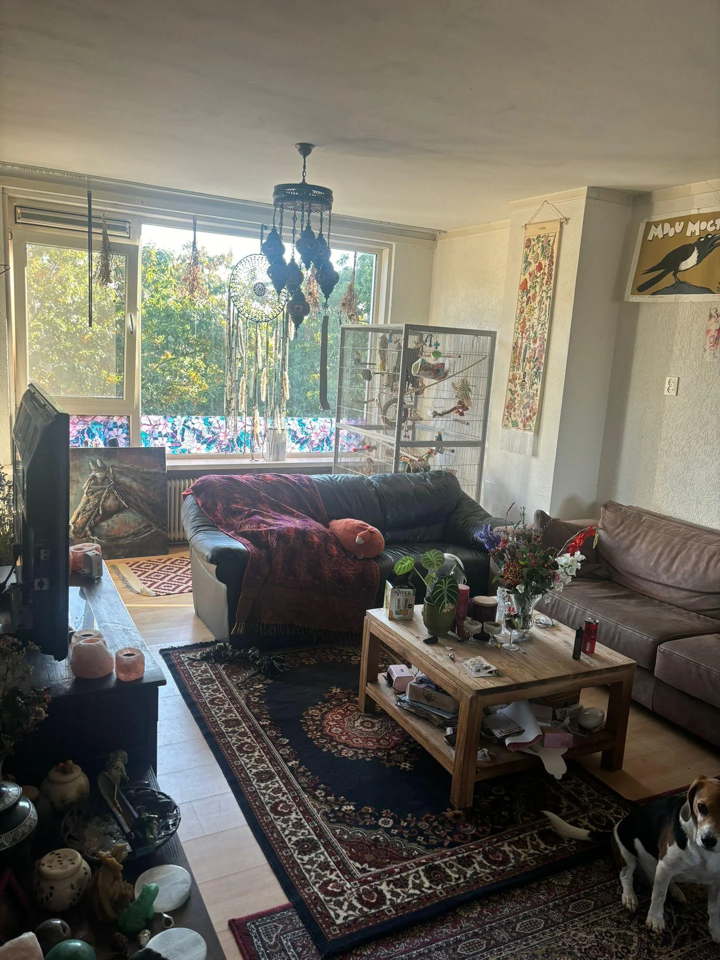 Foto van de Kamer gelegen aan de Van Iddekingeweg in Groningen