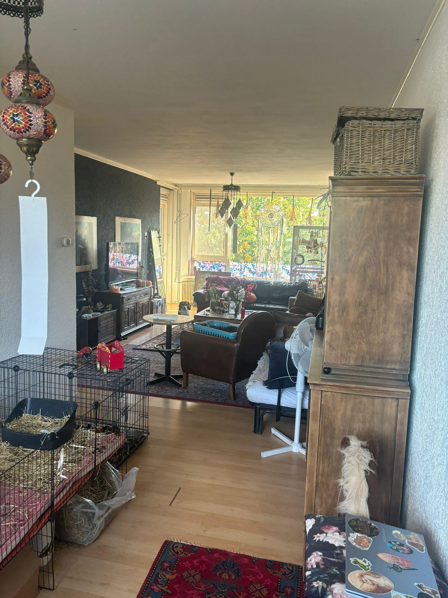 Foto van de Kamer gelegen aan de Van Iddekingeweg in Groningen