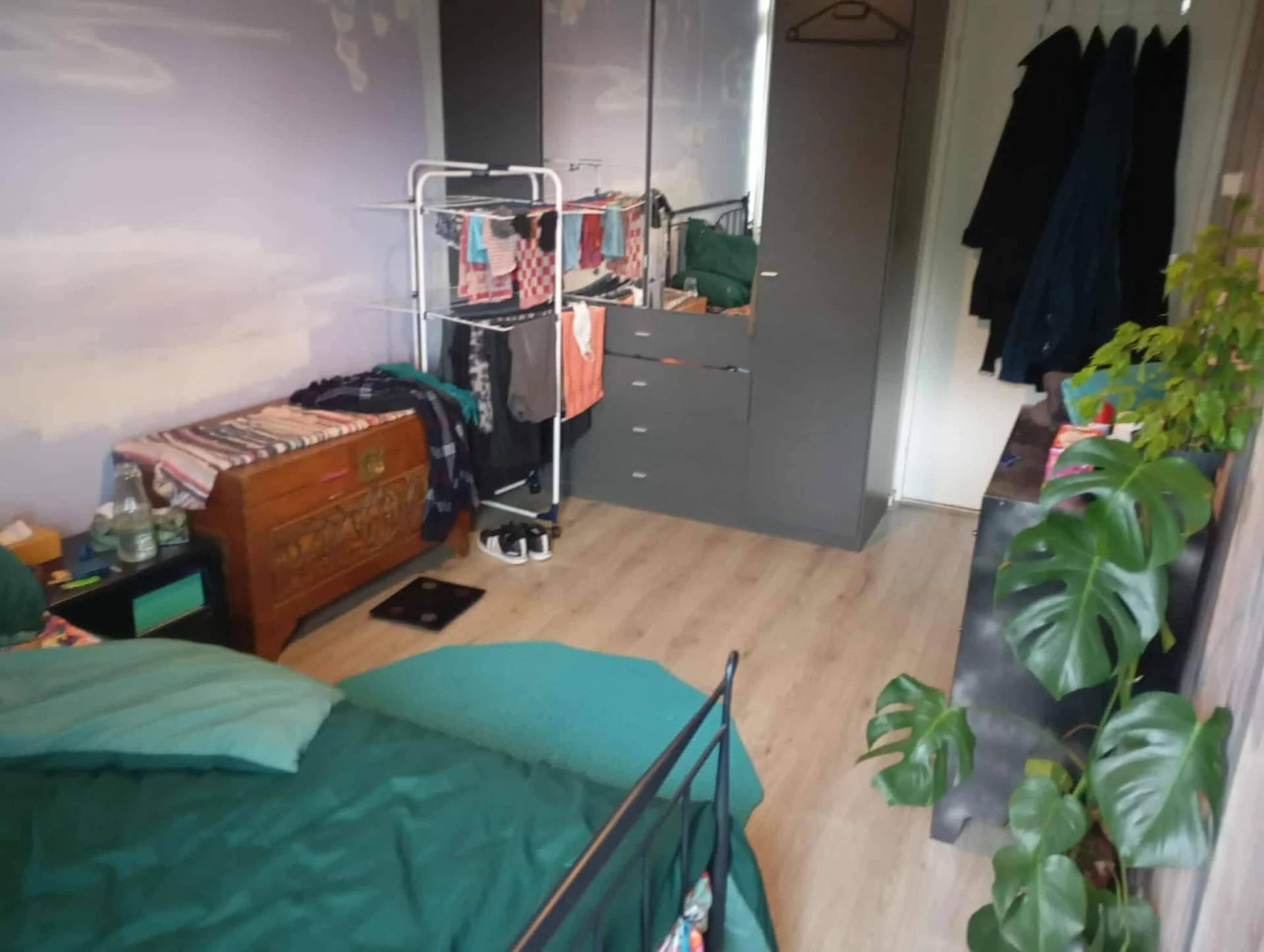 Foto van de Kamer gelegen aan de Vijfheerenlanden in Vianen