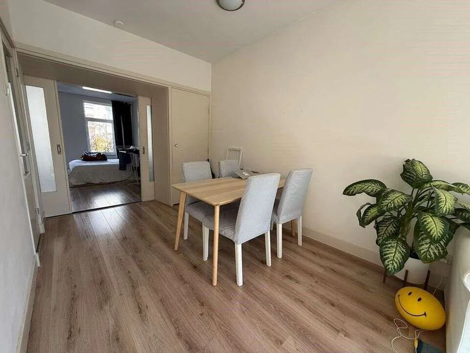 Foto van de Appartement gelegen aan de Tweede Jan Steenstraat in Amsterdam
