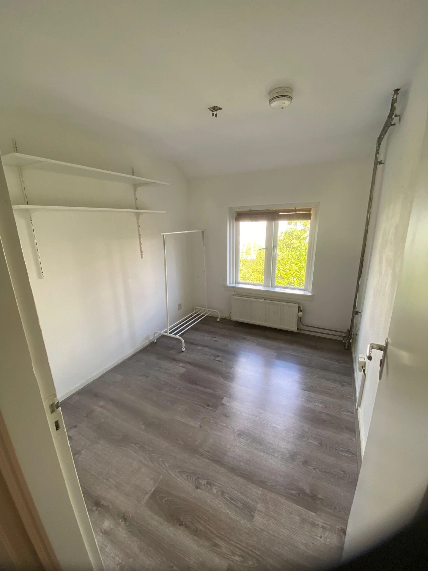 Foto van de Kamer gelegen aan de Maaslandstraat in Den Bosch